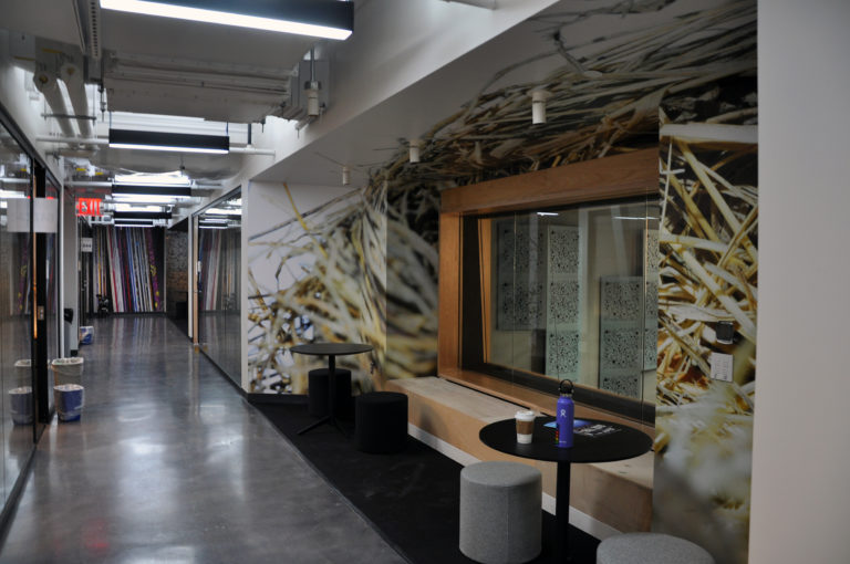 2 P18 R NYU DSC 1467 2500 768x510