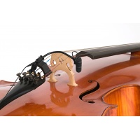 dpa4099cello_2